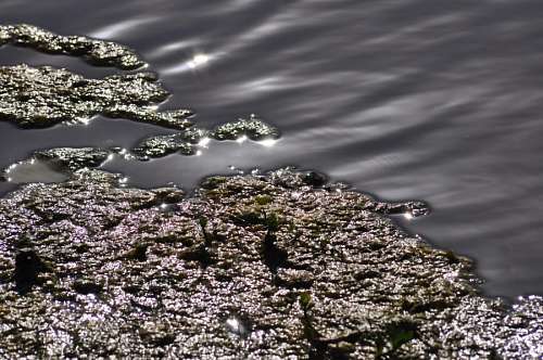 Texture, Textures, Water Reflection Lake 