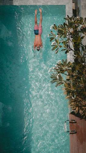 swimming-pool 4th of july