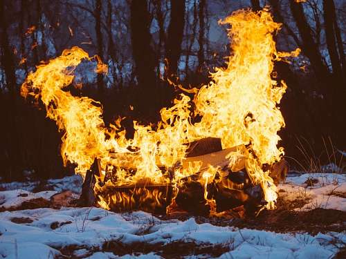 Wood fire
