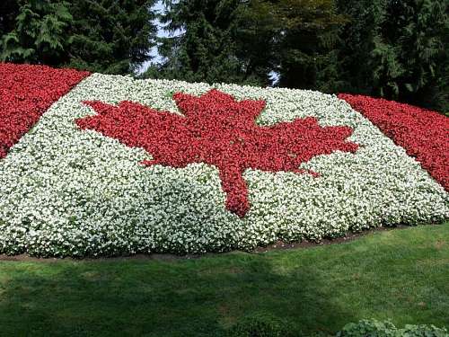 Flag of Canada
