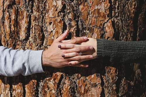 bishop  Couple holding hands