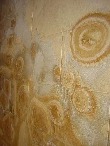 condensate Wall Condensation Machas Yellow 