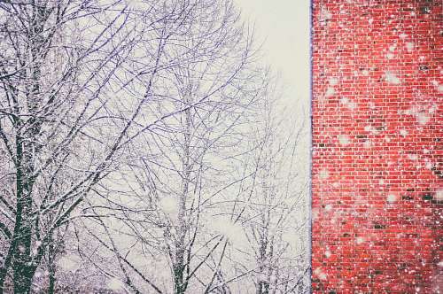 rag Winter scene