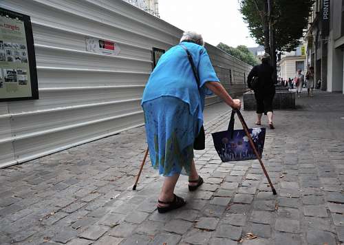 labrador old woman