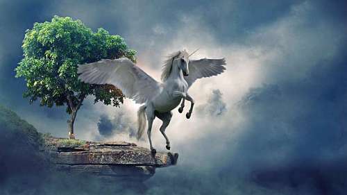 images-of-pretty-unicorns Beautiful white unicorn