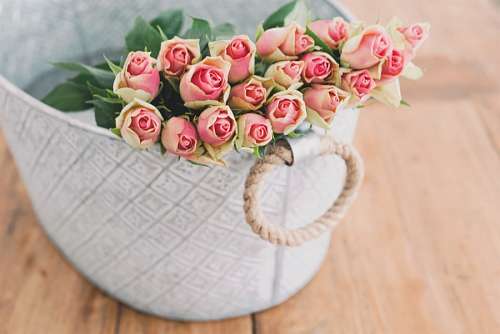 bouquet of roses flowers