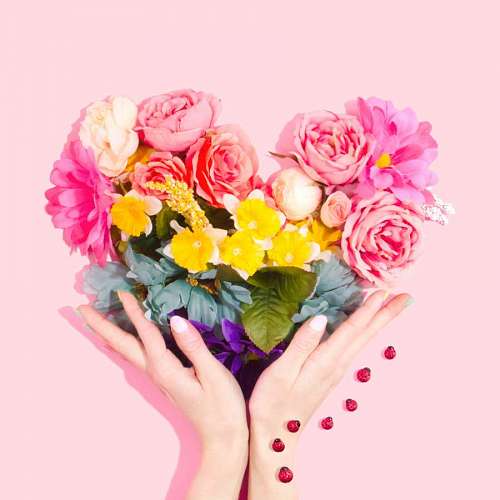 4k person holding bouquet of flower