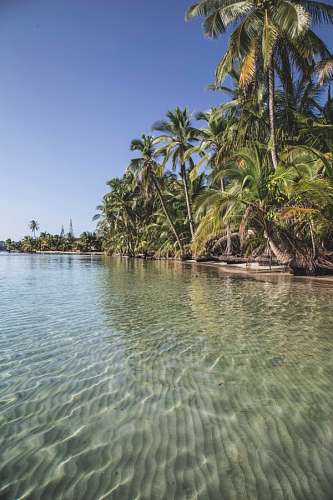 panama Panama