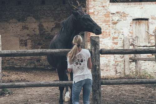Woman and horse