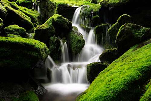 Waterfall with green moss