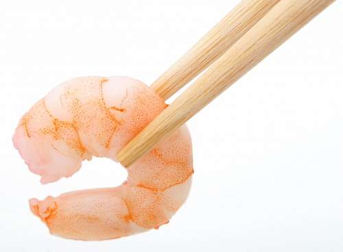 shri shrimp
