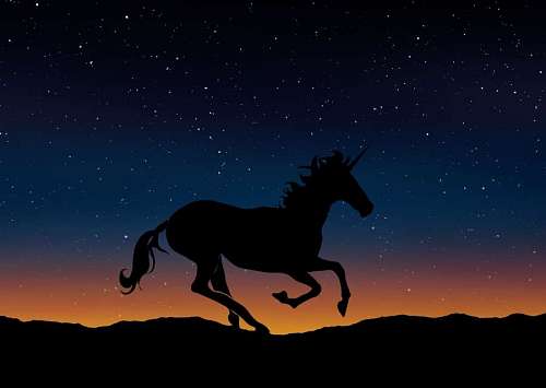 Animated unicorn under the stars