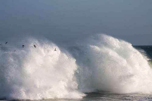 gull wave
