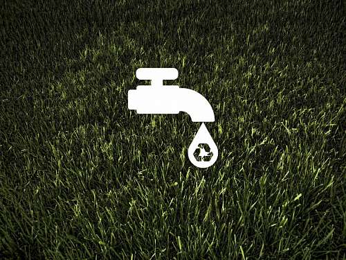 tap-to-pay Ecology and Environment