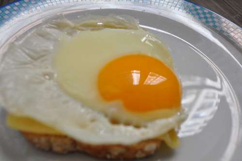 toasted-bread Toasted egg