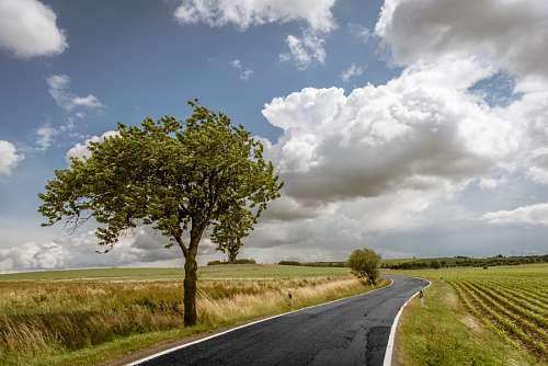 Field road