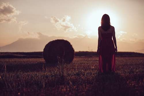 sunbeam Women in the Field