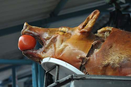 ecuador-religion Pig