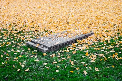 cementery Cementery