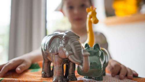  Child with toy animals at home