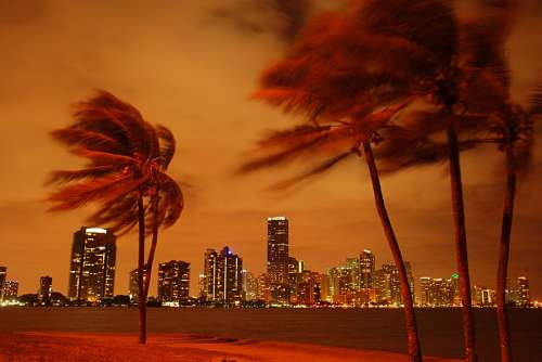 Miami