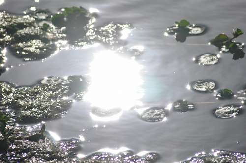 Texture, Textures, Water Reflection Lake 