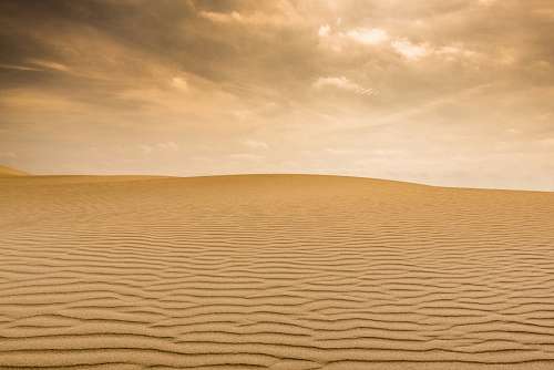 medano desert