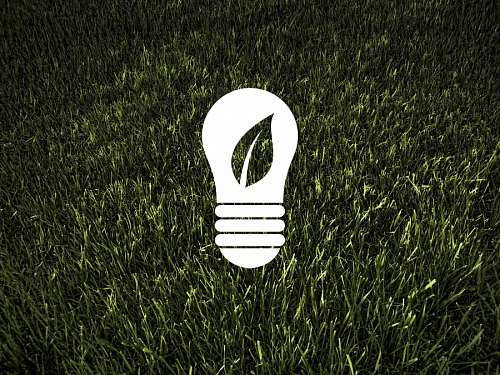 Ecology and Environment