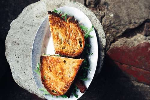 toasted-bread sandwich
