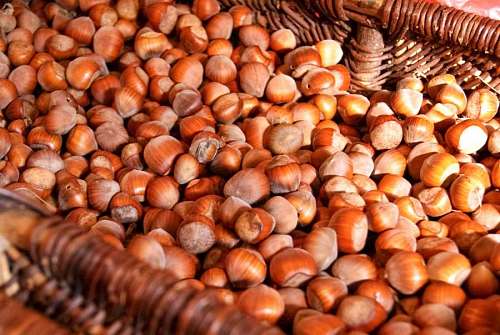drying Hazelnuts
