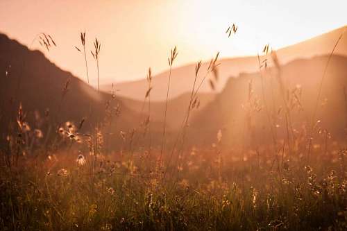Wild landscape at sunset with sun rays in a valley