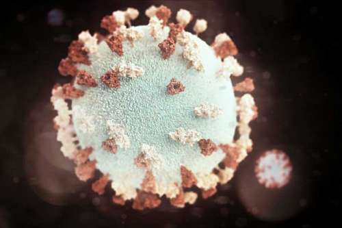 illustration of a viral agent