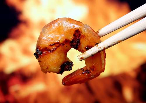 shri shrimp