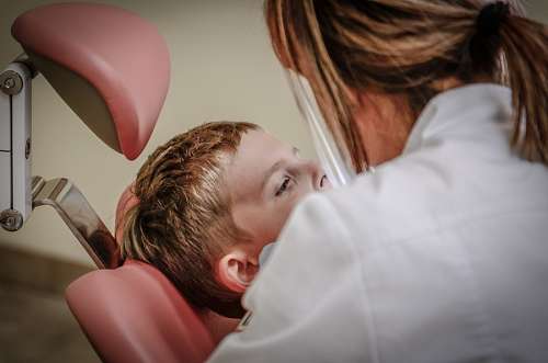 dental dentist