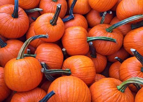 wok Pumpkins