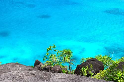 Caribbean Sea