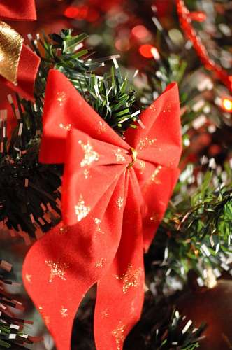 ornamental christmas
