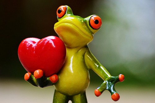Love images wallpaper hd Toad in love
