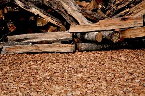 background, background, leaf, leaves, dry, dry, dr