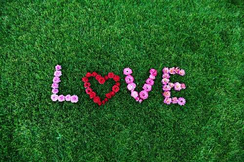  Lawn with flower decoration