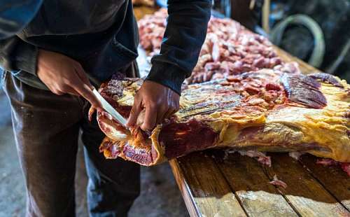 part-of  A Gaucho Cutting Fresh Meat with His Blade