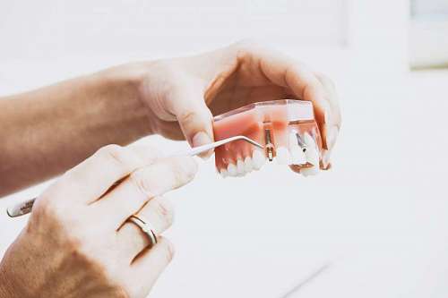 dental Dental Mechanic Working with a Dental Prosthesis
