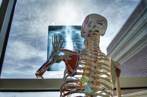 radiographic radiography