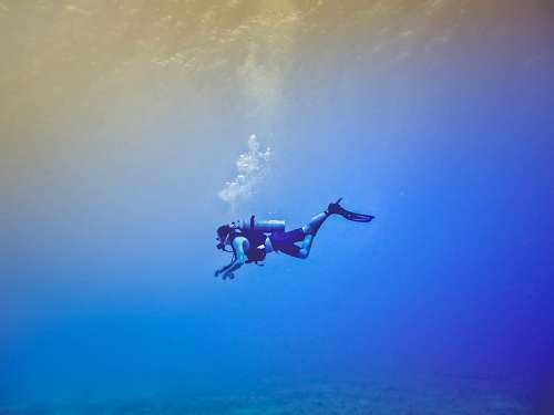 scuba-diving A person diving in blue sea