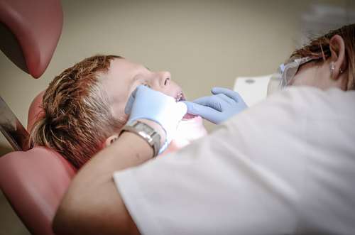 dental dentist