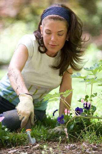 woman planting flowers in her garden