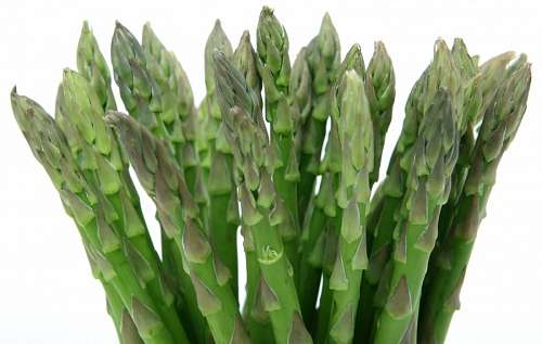 appetite asparagus