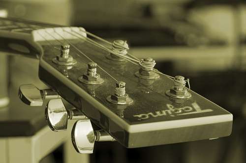 Guitar