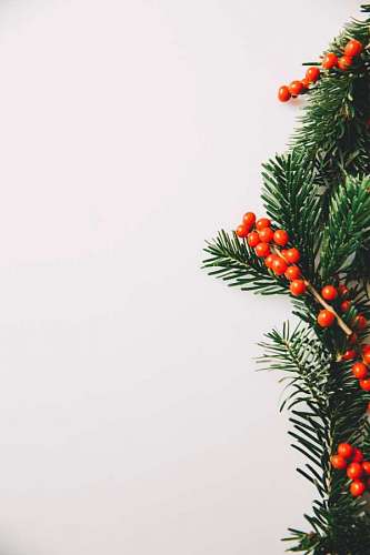 christmastime Christmas ornament with white background