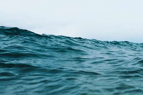 Wave in the sea